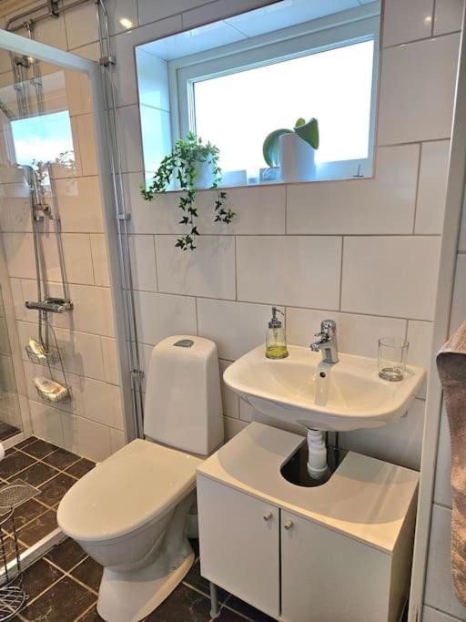 Gaesthuset Saetuna Eksteriør bilde